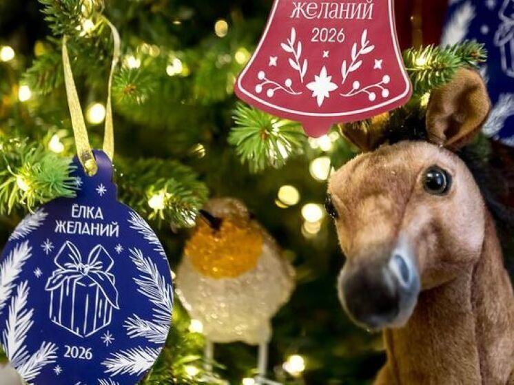 Белгородский губернатор присоединился к «Елке желаний» на Госсовете РФ