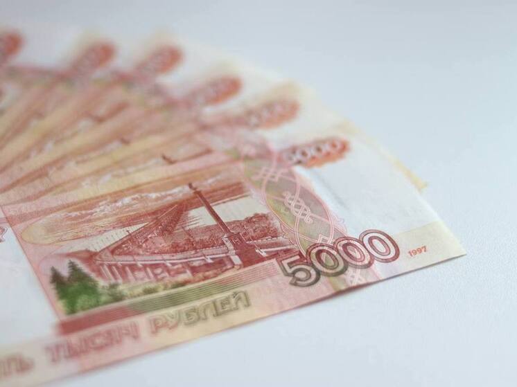 Роструд разъяснил, что работодатель не обязан выплачивать 13-ю зарплату