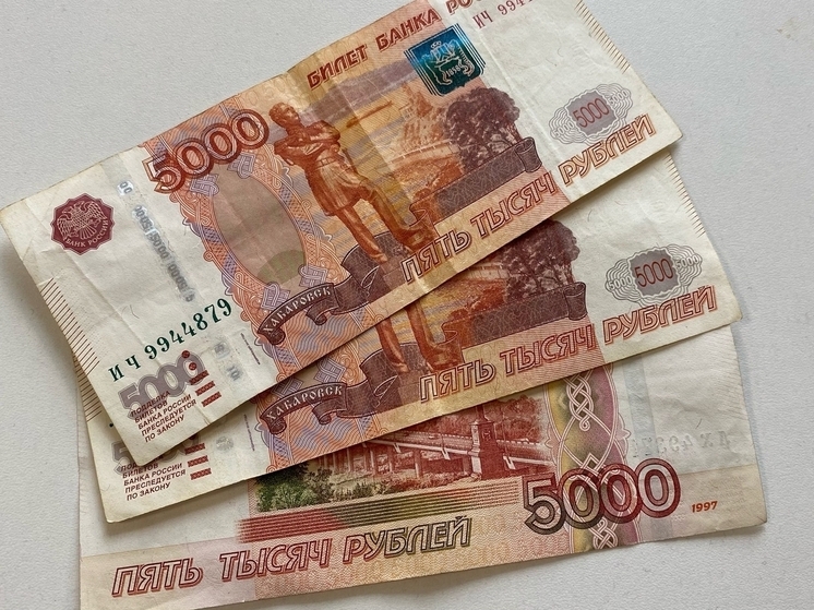 В Красноярском крае декабрьские детские пособия перечислят досрочно — до новогодних праздников