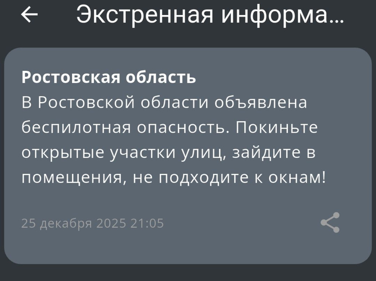 В Ростовской области вечером 25 декабря ввели режим беспилотной опасности