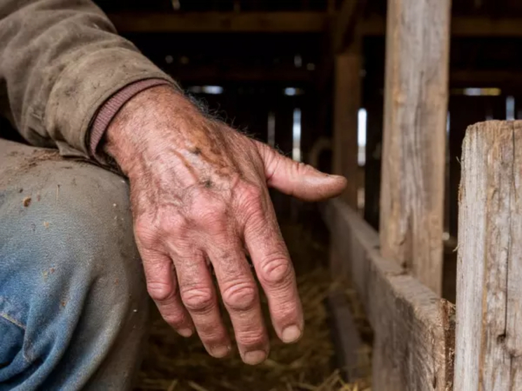 В Ростовской области обнаружили задушенным пенсионера и мертвой его супругу