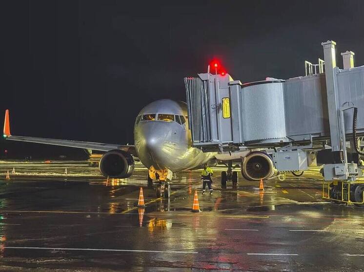 В аэропорту Мурманска запустили телетрап