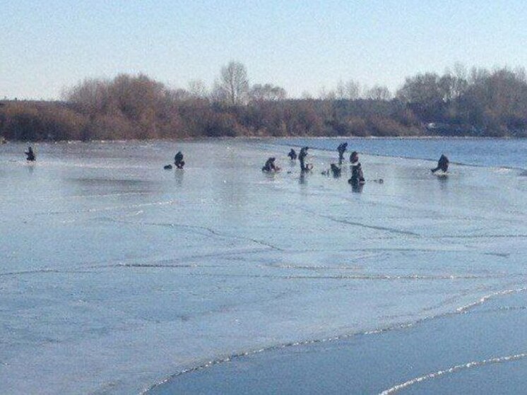 В Воронеже за месяц на тонком льду погибли два человека
