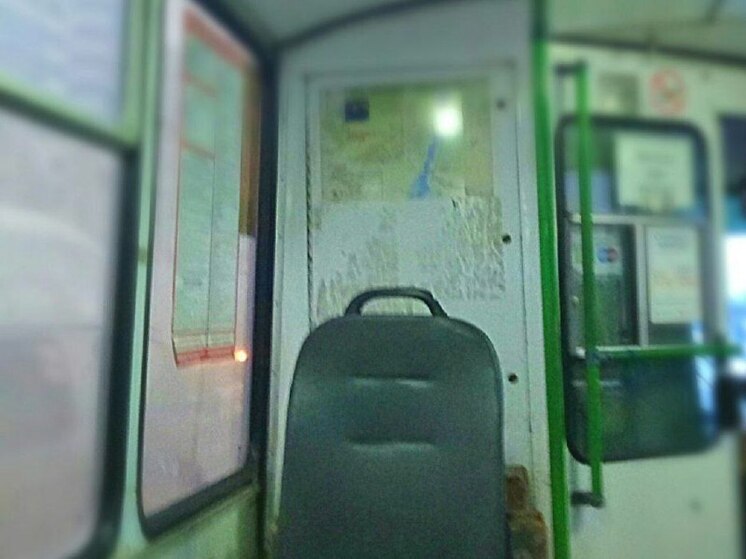 СК заинтересовался случаем с избиением мальчика водителем автобуса в Воронеже