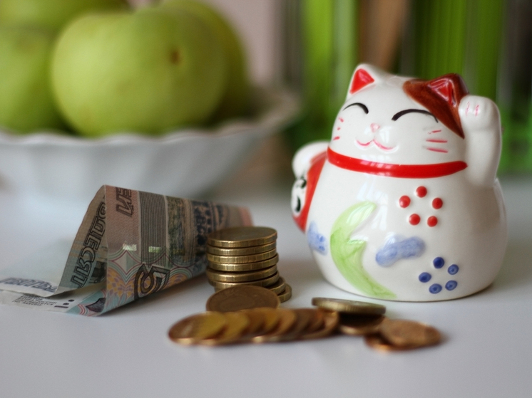 Пенсии и пособия за январь выплатят в декабре: кто получит выплаты досрочно