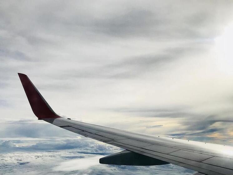 Снегопад задержал более ста авиарейсов в Москве