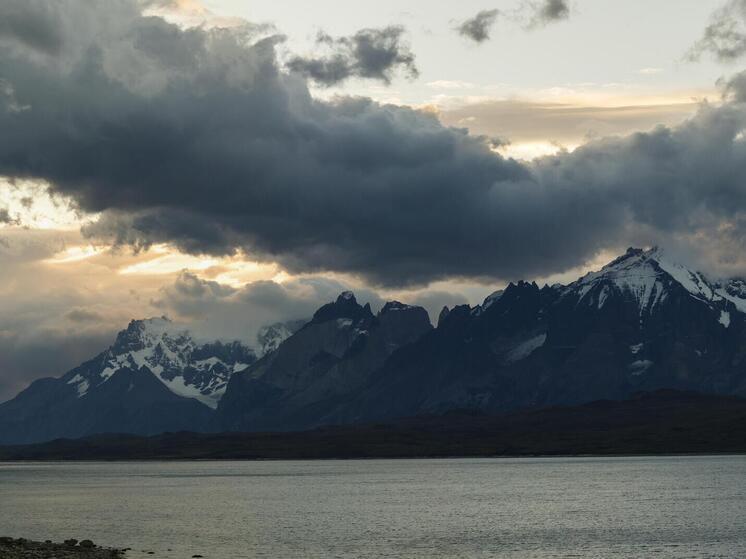 Чили завершает создание коридора для диких животных протяженностью 2800 км