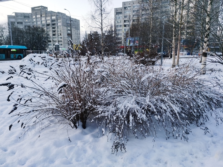 Погода в Поморье 26 декабря: солнца не ожидается