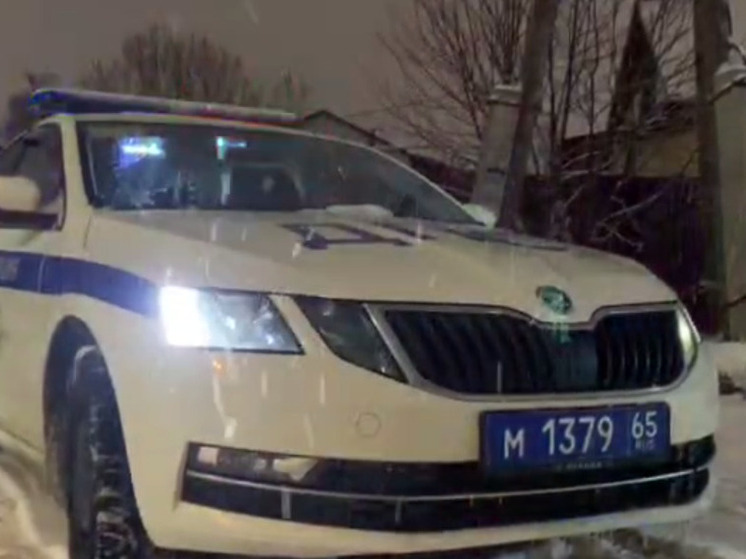 Девять пешеходов за нарушение ПДД оштрафовали на Сахалине за сутки