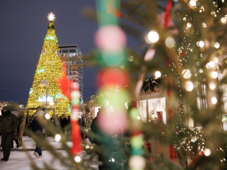 Депутат Новичков предложил сократить рабочий день 30 декабря