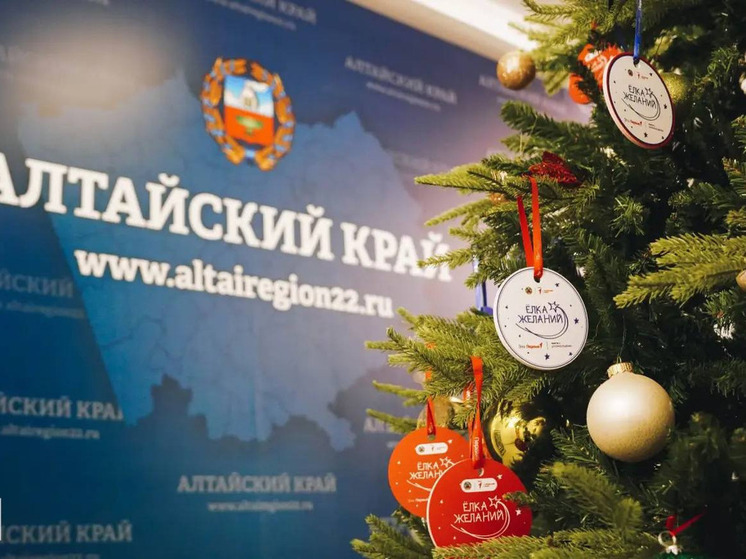 Глава Минстроя Алтайского края осуществил желание девочки из Мамонтовского района