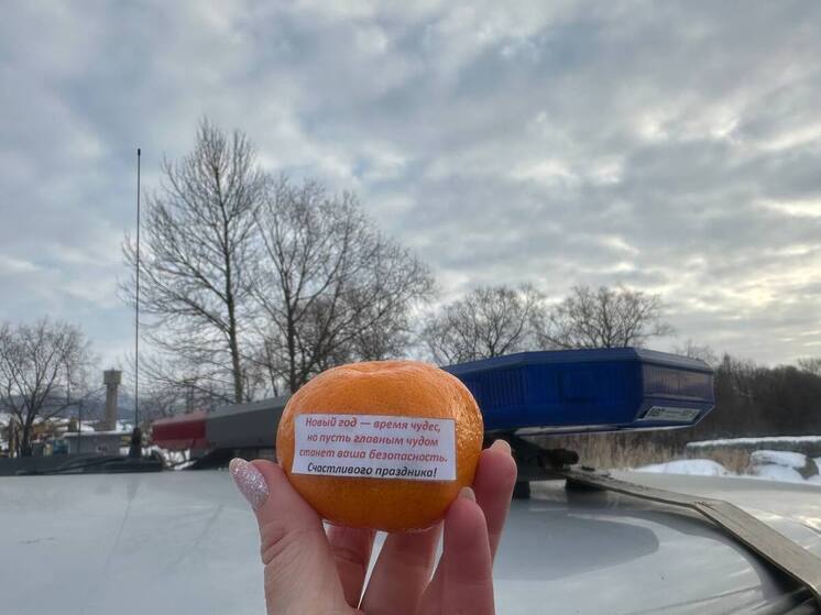 Мандарины за ПДД: в Южно-Сахалинске прошла новогодняя акция «Безопасный Новый год»