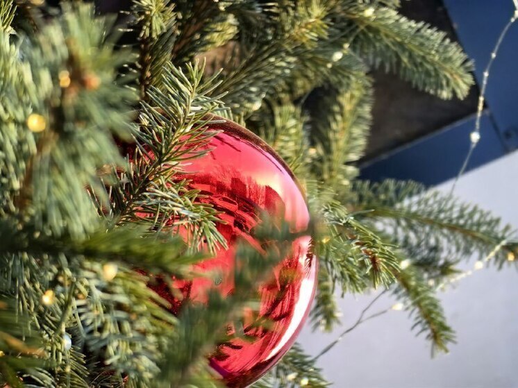 Близится Новый год – время чудес, веселья и праздничного настроения! Чтобы долгожданные каникулы в Приморье прошли без неприятностей, важно помнить о безопасности