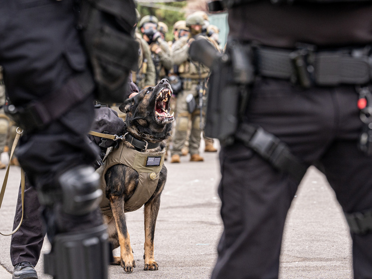 Украинские мигранты возглавили рейтинг худших преступников в США