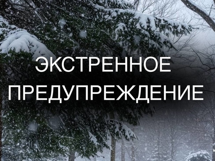 На Северные Курилы 27 декабря обрушится ураганный ветер и очень сильный дождь