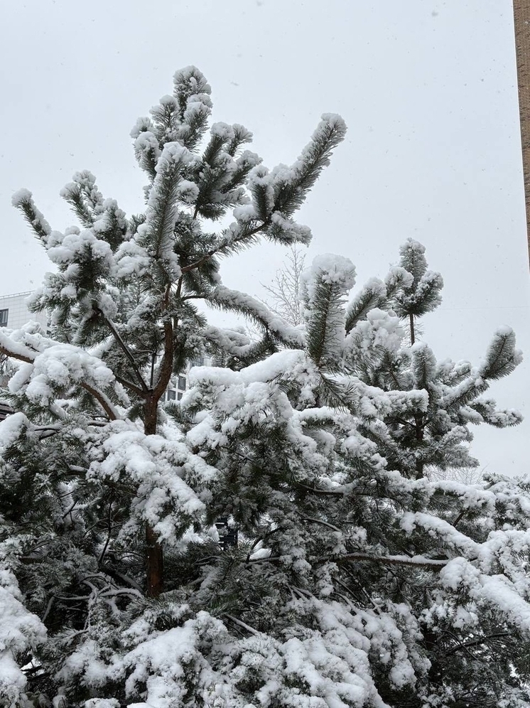 В выходные перед Новым годом Красноярск ожидает резкое похолодание до -18 градусов