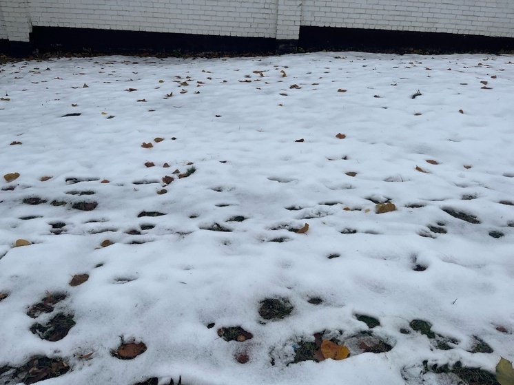 На Орловщину обрушился снегопад