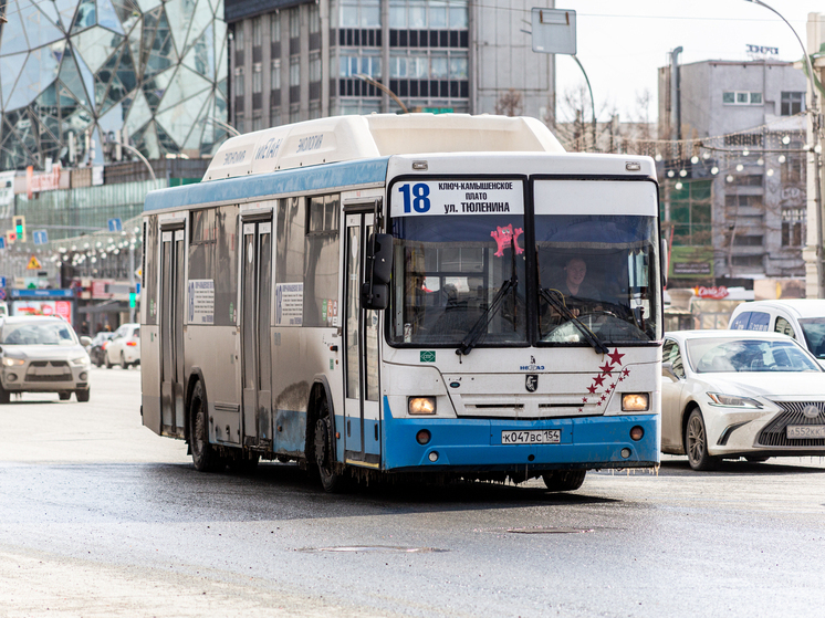Бесплатный проезд для школьников организуют в Новосибирске на все зимние каникулы