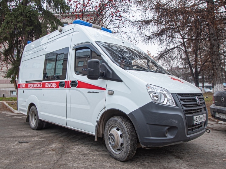 Красноярская станция скорой помощи напомнила правила вызова в праздничные дни