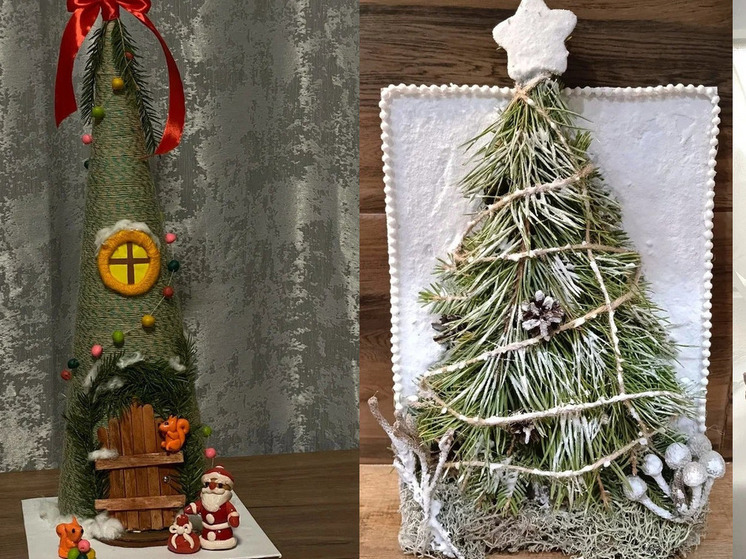 Лучшие экологические елки выбраны в Карелии