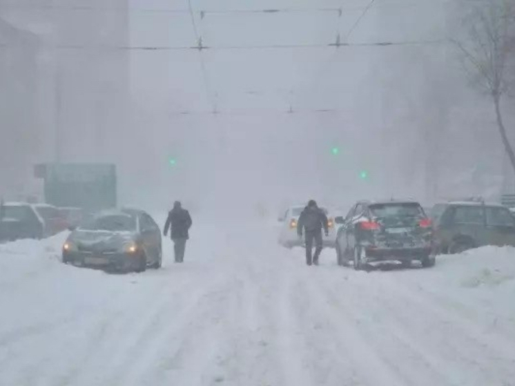 Снегопады и метель прогнозируют в Ростовской области в ближайшие сутки
