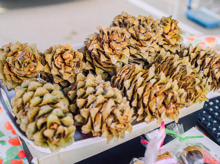 Орехи и мед предлагают на ярмарке в предпраздничные выходные во Владивостоке