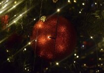 Половина работников Алтайского края предпочитает пропускать корпоративные мероприятия, даже когда их активно организует компания