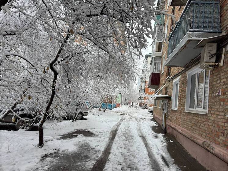 Какой будет погода в Пензе 26 декабря