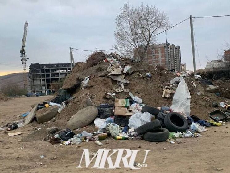 Число ликвидированных стихийных свалок в Чите за год выросло почти в 4 раза