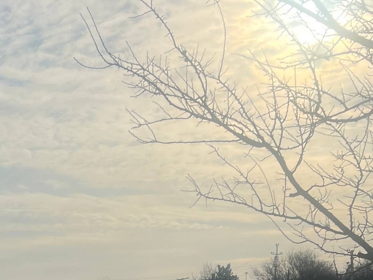 В ночь на 26 декабря над Ростовской области сбили 23 беспилотника