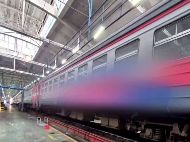 Пятеро граффитчиков предстанут перед судом за разрисовку электричек в Новосибирской области