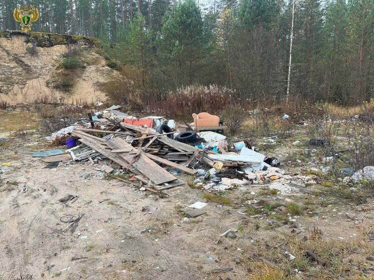 Минприроде Карелии в судебным порядке пришлось ликвидировать лесную свалку