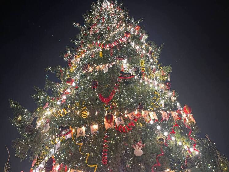 Главную елку Петербурга будут страховать специальные тросы длиной в 100 метров