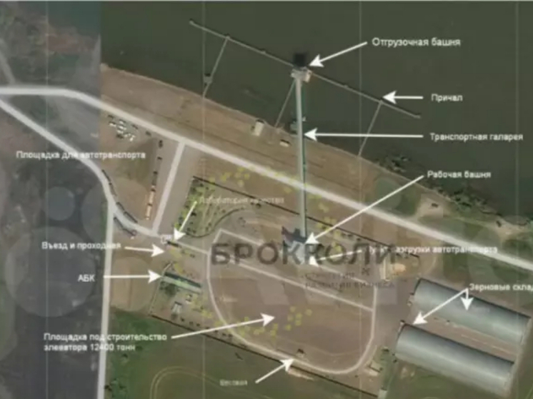 Зерновой терминал на Дону выставлен на продажу за 350 миллионов рублей