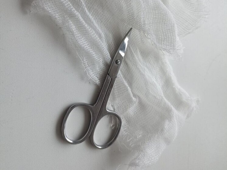 Сотрудники Росприроднадзора проверяют ролик с участием львёнка в груминг-салоне