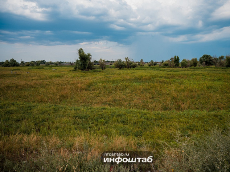 Дроны Россельхознадзора выявили карантинные сорняки на 90 гектарах в Астраханской области