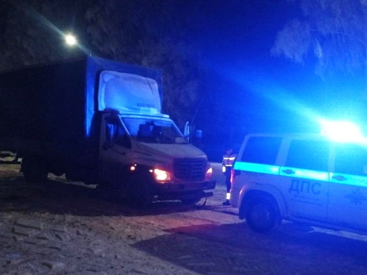 На дороге в Марий Эл автоинспекторы помогли водителю грузовика