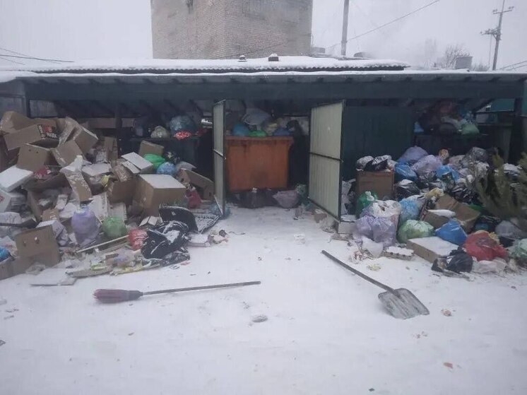 Жители Могочи добились вывоза мусора после жалобы в «Экобот»