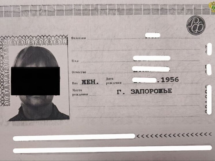 Жительница запорожского Токмака предстанет перед судом за госизмену