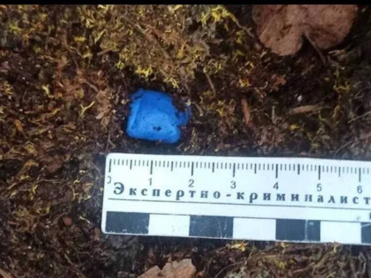 Великолукский суд приговорил жителя области к 8 годам колонии за сбыт наркотиков