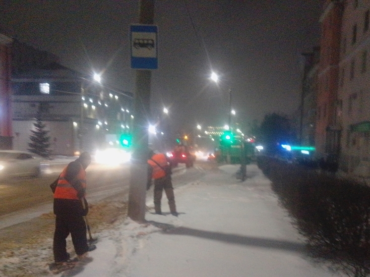 Метель во Владимире: коммунальщики начали круглосуточную борьбу со снегом