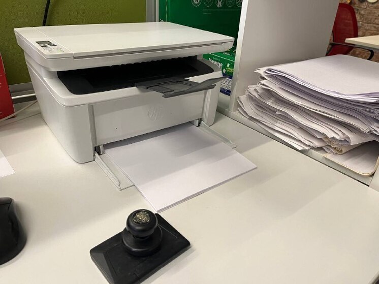 Патент для мигрантов в Петербурге и Ленобласти вырастет до 8 тысяч рублей