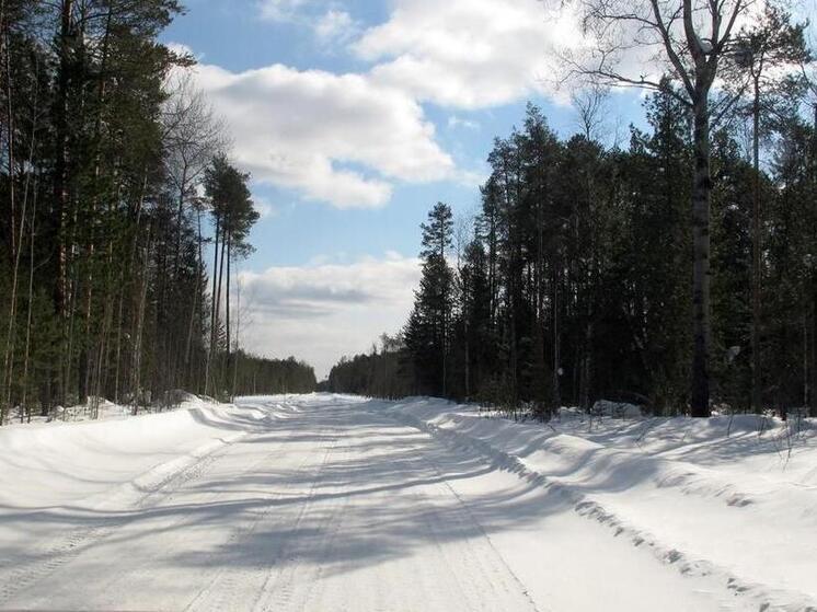 В Александровском районе Томской области открыты все ледовые переправы и автозимники