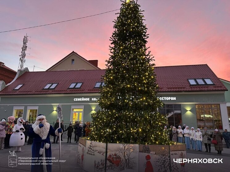 Главную елку Черняховска зажгли сказочные гости