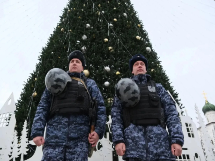 Росгвардия напомнила астраханцам о мерах безопасности в новогодние праздники