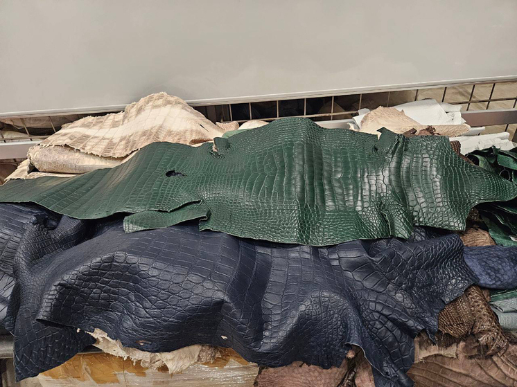 В Шереметьево задержали прилетевшего из Китая с 55 шкурами крокодила пассажира