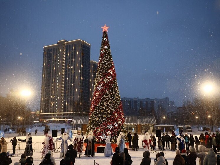 Елка из новосибирского Бугаков-парка поборется за звание лучшей в России