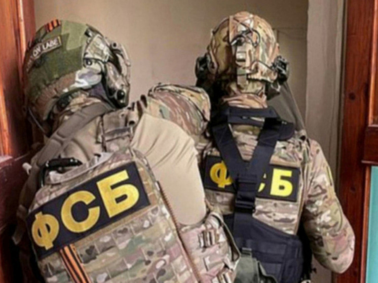 В Ставрополе женщина по заказу Киева хотела установить бомбу на машине военного