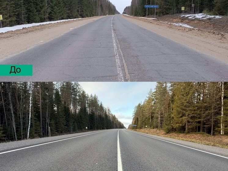 Почти 10 км дорог восстановлено в Тарногском округе