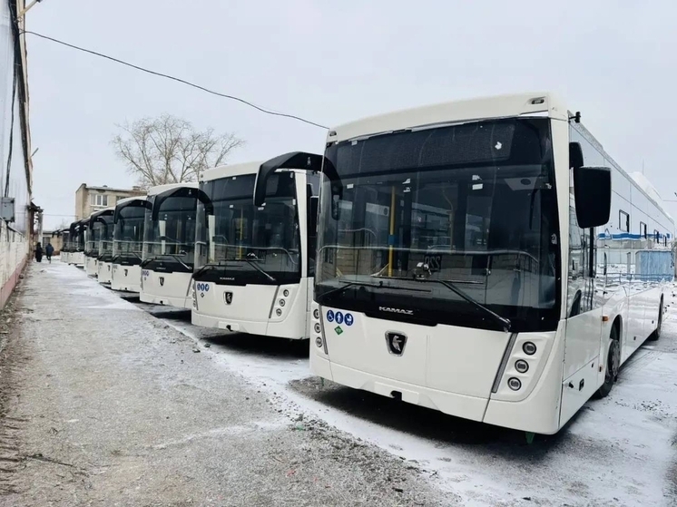 91 автобус получили Вологда и Череповец в 2025 году